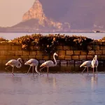 Il Canto Di Iside