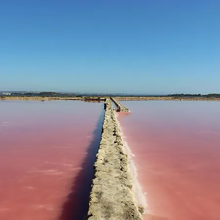 Lejlighed Il Canto Di Iside